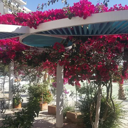 Apartment Bay, Bougainville Bay