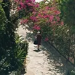 Bay, Bougainville Bay *
